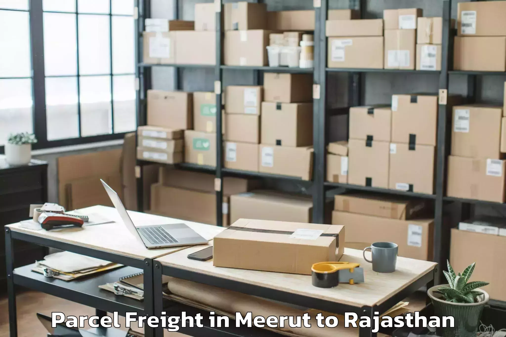 Book Meerut to Pachpadra Parcel Freight Online